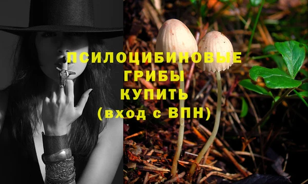 МДПВ Алзамай