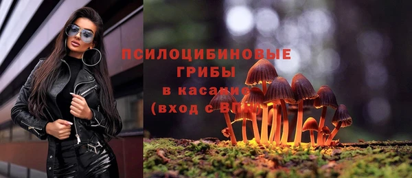 кокс Алексин
