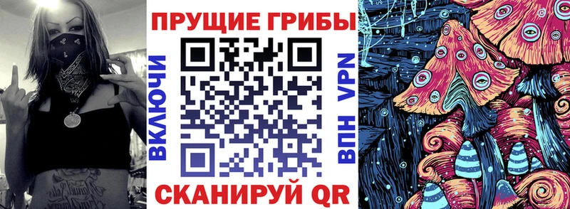 Галлюциногенные грибы Magic Shrooms  где купить наркоту  Арсеньев 